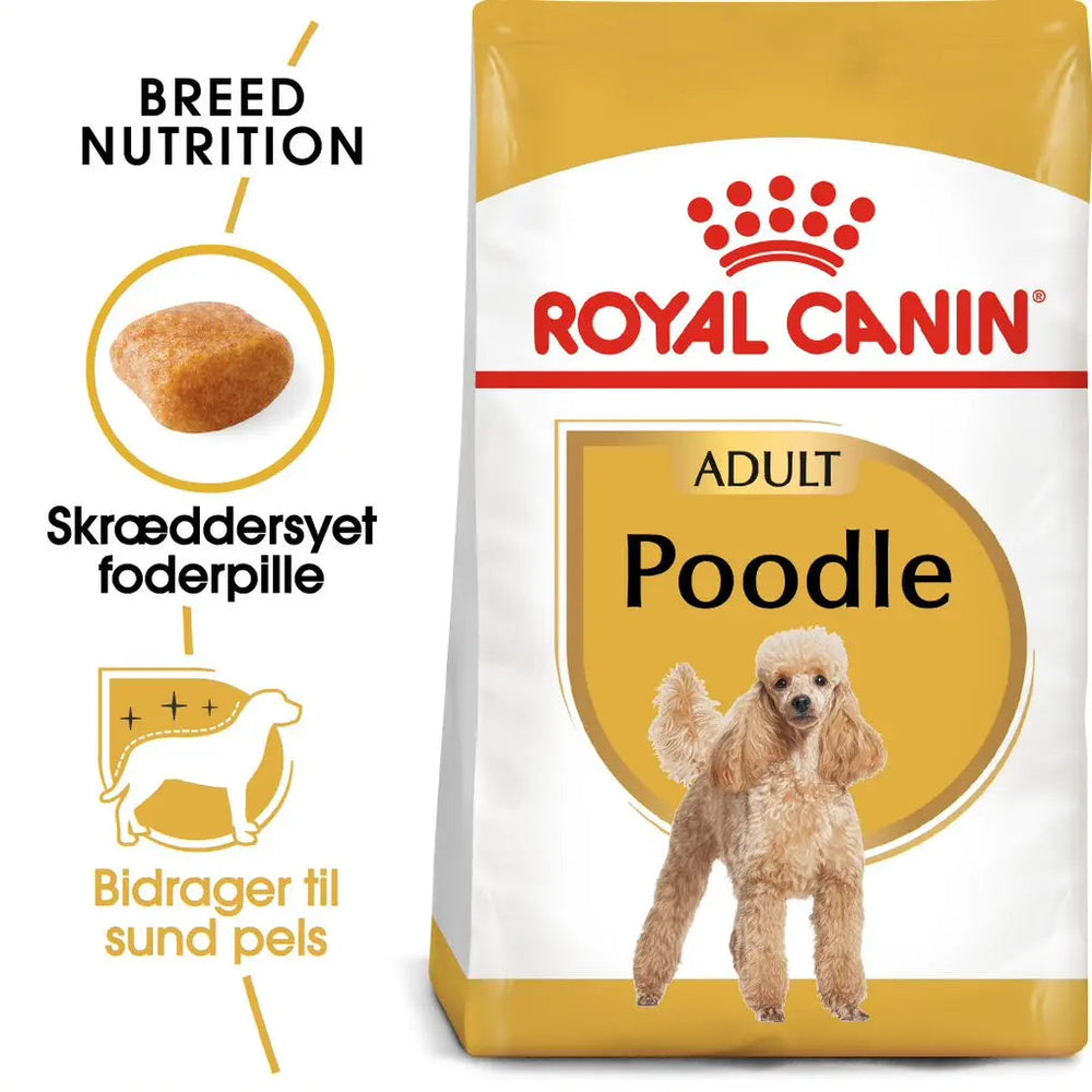 Adult Puddel