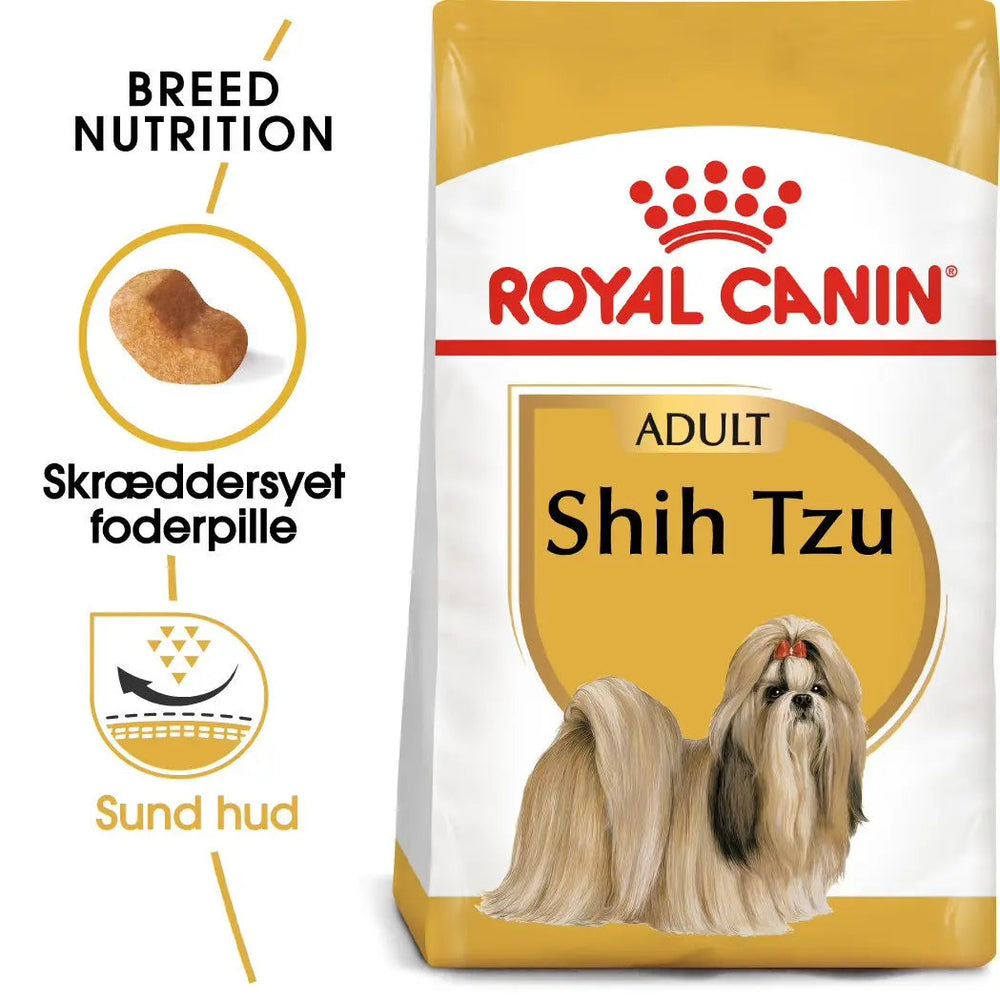Adult Shih Tzu