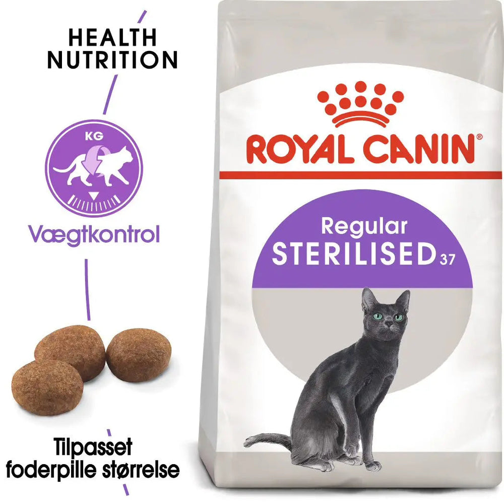 Adult Sterilised 37