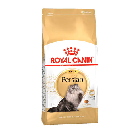 Adult Persian