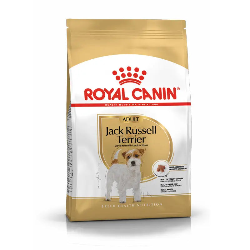 Adult Jack Russel 1,5 kg
