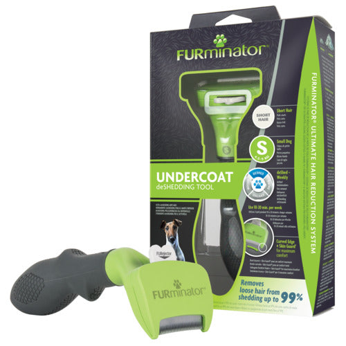 Karte kort hår hund small