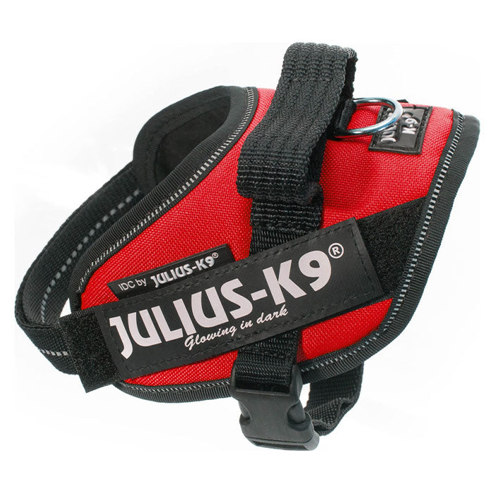 Julius K9 Power-SeleIDC mini mini/S rød