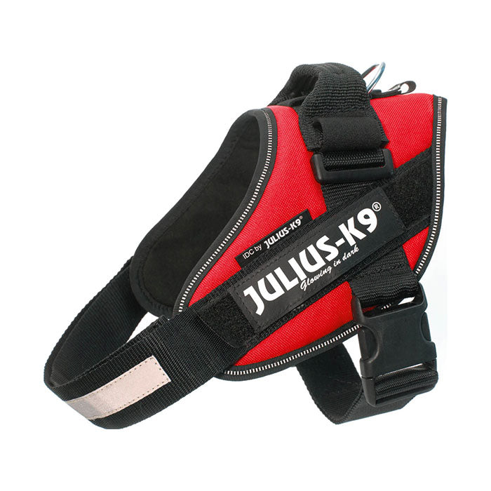 Julius K9 Power-SeleIDC str 2/L-xL rød