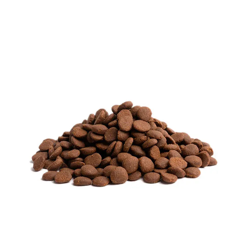 Adult Energy Stamina HL kylling, and & fisk 10 kg