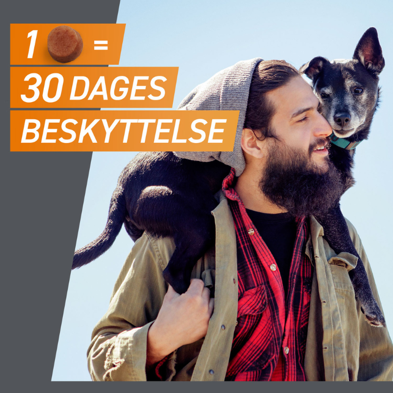 Flåt- & loppemiddel tyggetabletter hund 2-4 kg - 3 stk/pk