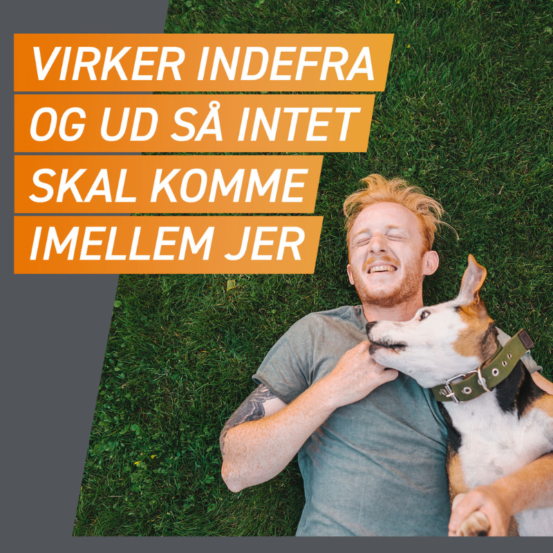 Flåt- & loppemiddel tyggetabletter hund 10-25 kg - 3 stk/pk